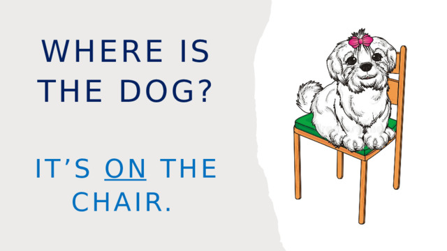 Where is the dog? It’s on the chair. 