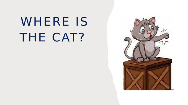 Where is the cat? 