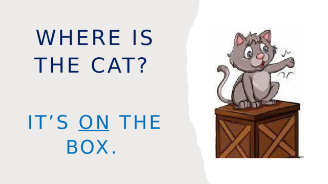 Where is the cat? It’s on the box. 