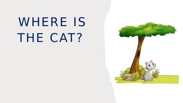 Where is the cat? 