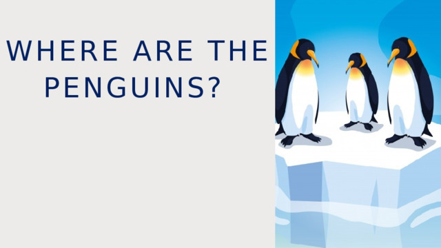Where are the penguins? 