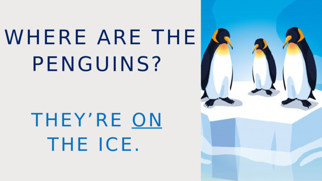 Where are the penguins? They’re on the ice. 