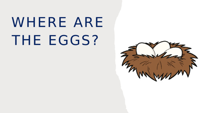 Where are the eggs? 