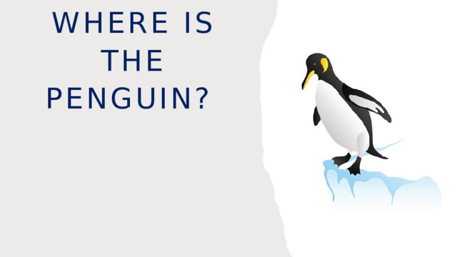 Where is the penguin? 