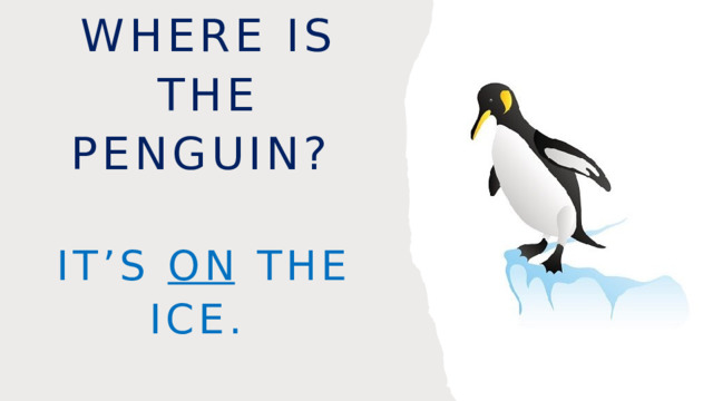 Where is the penguin? It’s on the ice. 
