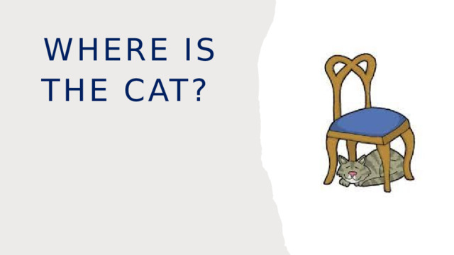Where is the cat? 