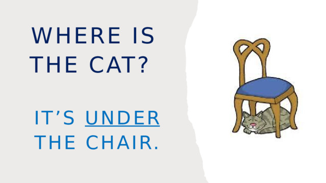 Where is the cat? It’s under the chair. 