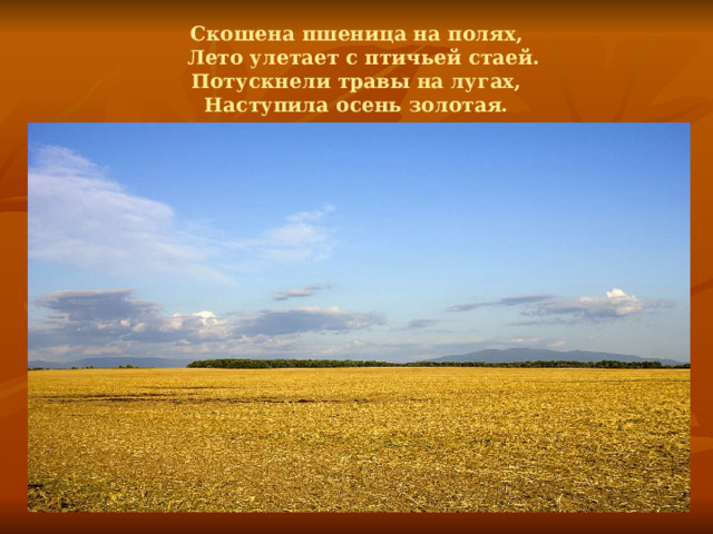 Скошена пшеница на полях,  Лето улетает с птичьей стаей.  Потускнели травы на лугах,  Наступила осень золотая.   