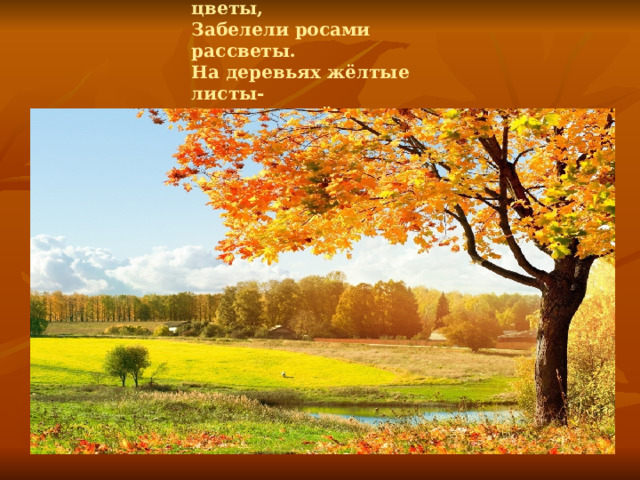 Словно опечалены цветы,  Забелели росами рассветы.  На деревьях жёлтые листы-  Все заметней осени приметы. 