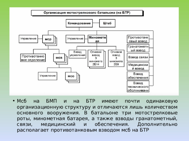 Мсб на БМП и на БТР имеют почти одинаковую организационную структуру и отличаются лишь количеством основного вооружения. В батальоне три мотострелковые роты, минометная батарея, а также взводы гранатометный, связи, медицинский и обеспечения. Дополнительно располагает противотанковым взводом мсб на БТР 