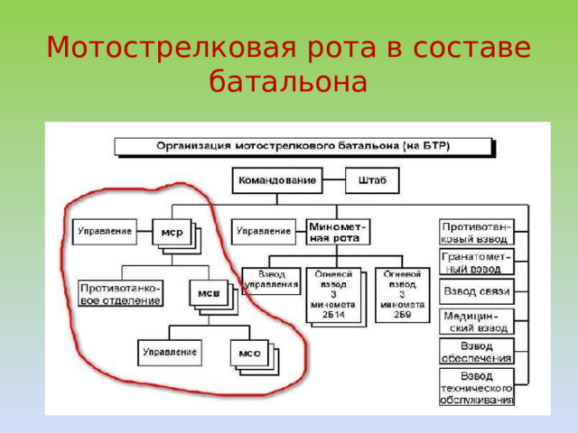 Мотострелковая рота в составе батальона 