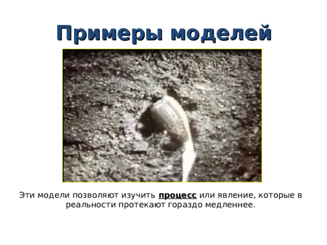 Примеры моделей Эти модели позволяют изучить процесс или явление, которые в реальности протекают гораздо медленнее. 