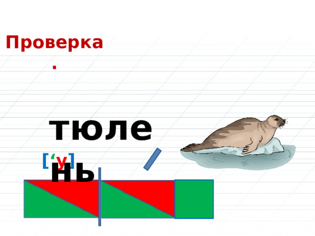 Проверка. тюлень [ ‘ у ] 
