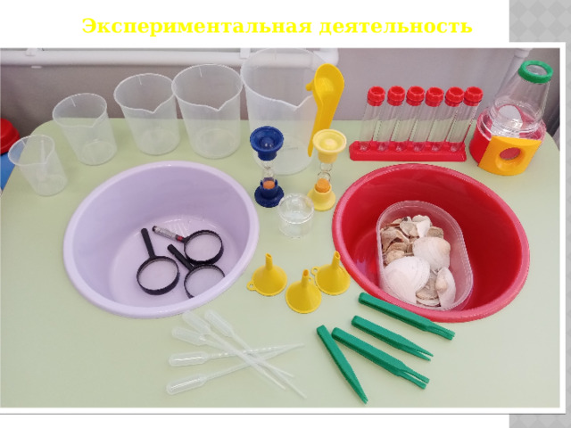Экспериментальная деятельность 