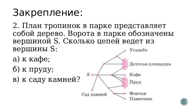 Закрепление: 2. План тропинок в парке представляет собой дерево. Ворота в парке обозначены вершиной S. Сколько цепей ведет из вершины S: а) к кафе; б) к пруду; в) к саду камней? 