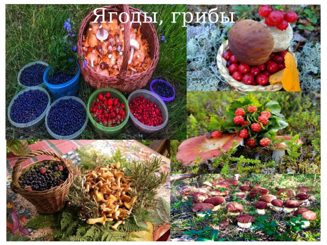Ягоды, грибы 