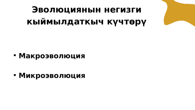 Эволюциянын негизги кыймылдаткыч күчтөрү Макроэволюция Макроэволюция Микроэволюция Микроэволюция 