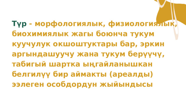 Түр - морфологиялык, физиологиялык, биохимиялык жагы боюнча тукум куучулук окшоштуктары бар, эркин аргындашуучу жана тукум берүүчү, табигый шартка ыңгайланышкан белгилүү бир аймакты (ареалды) ээлеген особдордун жыйындысы 