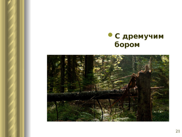 С дремучим бором Глазина Елена Александровна, учитель русского языка и литературы МОУ «СОШ № 62» г. Барнаул   