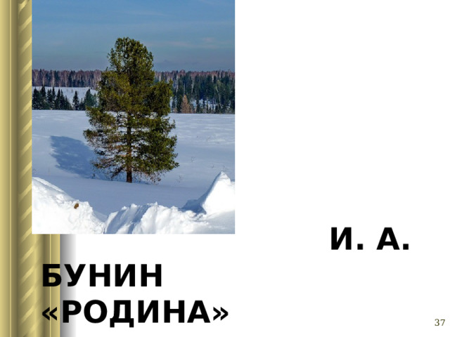 Глазина Елена Александровна, учитель русского языка и литературы МОУ «СОШ № 62» г. Барнаул  И. А. БУНИН  «РОДИНА»   
