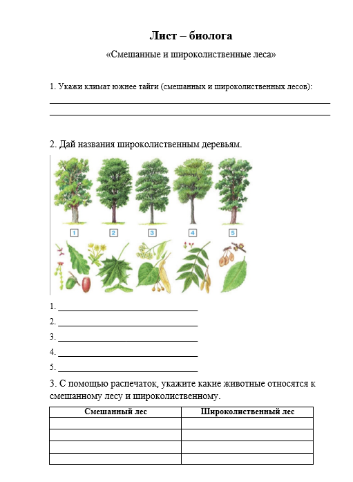 Технологические карты школы проект