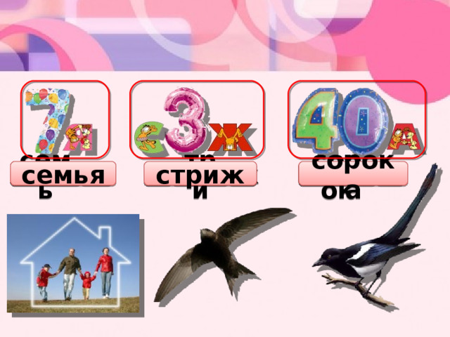 ж сорок а семья стриж сорока три я семь с 