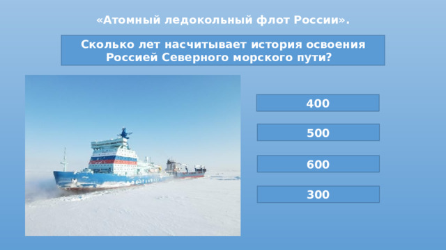 История возникновения проектов в россии