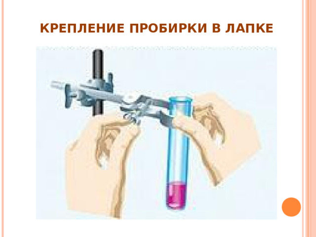 КРЕПЛЕНИЕ ПРОБИРКИ В ЛАПКЕ 
