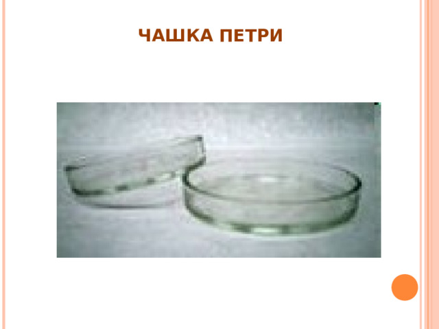 ЧАШКА ПЕТРИ 