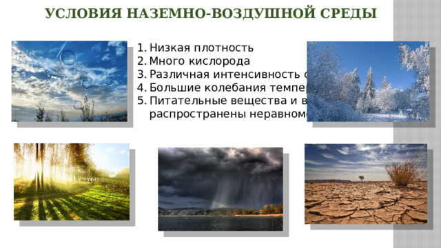 Презентация по теме "Среды обитания живых организмов" для урока биологии в 5 кла