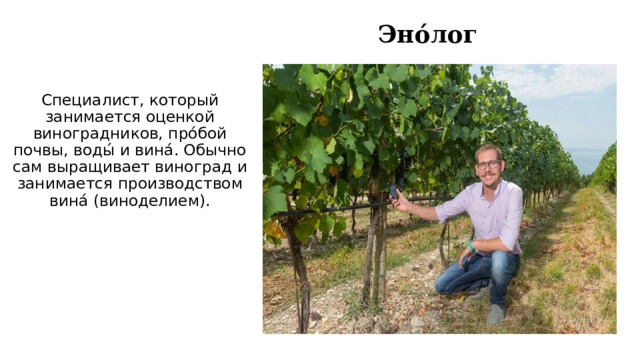 Эно́лог Специалист, который занимается оценкой виноградников, про́бой почвы, воды́ и вина́. Обычно сам выращивает виноград и занимается производством вина́ (виноделием). 