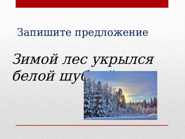 Запишите предложение Зимой лес укрылся белой шубкой. 