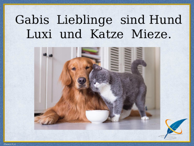  Gabis Lieblinge sind Hund Luxi und Katze Mieze .   