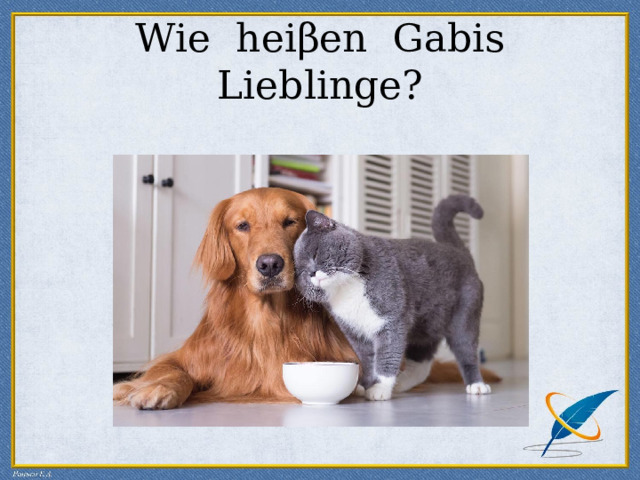 Wie hei β en Gabis Lieblinge? 