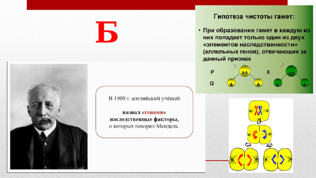  Б 1 