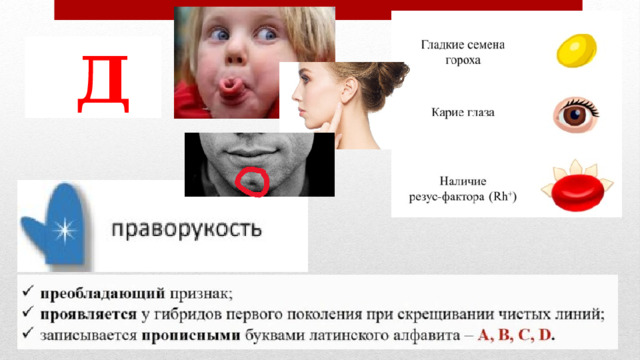  Д 1 