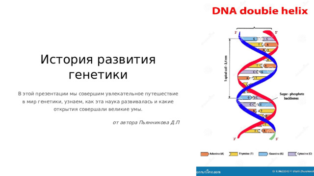 История развития генетики В этой презентации мы совершим увлекательное путешествие в мир генетики, узнаем, как эта наука развивалась и какие открытия совершали великие умы. от автора Пьянникова Д.П  