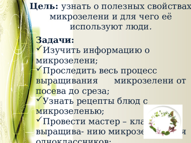 Цель: узнать о полезных свойствах микрозелени и для чего её используют люди . Задачи: Изучить информацию о микрозелени; Проследить весь процесс выращивания микрозелени от посева до среза; Узнать рецепты блюд с микрозеленью; Провести мастер – класс по выращива- нию микрозелени для одноклассников; 