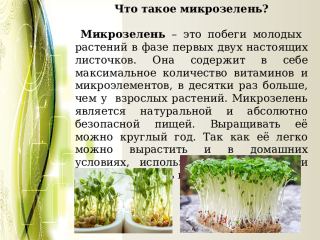 Что такое микрозелень?   Микрозелень – это побеги молодых растений в фазе первых двух настоящих листочков. Она содержит в себе максимальное количество витаминов и микроэлементов, в десятки раз больше, чем у взрослых растений. Микрозелень является натуральной и абсолютно безопасной пищей. Выращивать её можно круглый год. Так как её легко можно вырастить и в домашних условиях, использование микрозелени становится очень популярным. 