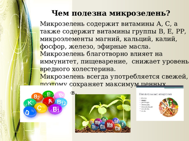   Чем полезна микрозелень? Микрозелень содержит витамины А, С, а также содержит витамины группы В, Е, РР, микроэлементы магний, кальций, калий, фосфор, железо, эфирные масла. Микрозелень благотворно влияет на иммунитет, пищеварение, снижает уровень вредного холестерина. Микрозелень всегда употребляется свежей, поэтому сохраняет максимум ценных элементов .   