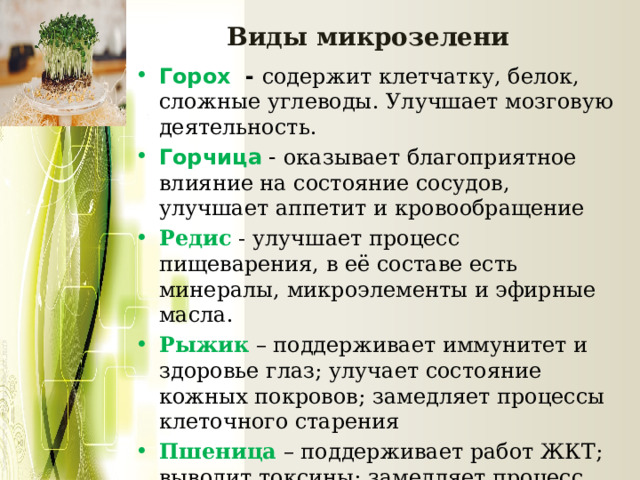 Виды микрозелени Горох - содержит клетчатку, белок, сложные углеводы. Улучшает мозговую деятельность. Горчица - о казывает благоприятное влияние на состояние сосудов, улучшает аппетит и кровообращение Редис - улучшает процесс пищеварения, в её составе есть минералы, микроэлементы и эфирные масла. Рыжик – поддерживает иммунитет и здоровье глаз; улучает состояние кожных покровов; замедляет процессы клеточного старения Пшеница – поддерживает работ ЖКТ; выводит токсины; замедляет процесс старения; стимулирует обмен веществ   