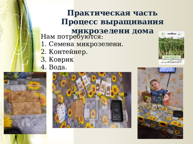 Практическая часть Процесс выращивания микрозелени дома Нам потребуются: 1. Семена микрозелени. 2. Контейнер. 3. Коврик 4. Вода. 