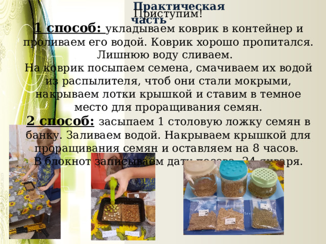  Практическая часть Приступим!  1 способ: укладываем коврик в контейнер и проливаем его водой. Коврик хорошо пропитался. Лишнюю воду сливаем.  На коврик посыпаем семена, смачиваем их водой из распылителя, чтоб они стали мокрыми, накрываем лотки крышкой и ставим в темное место для проращивания семян. 2 способ:  засыпаем 1 столовую ложку семян в банку. Заливаем водой. Накрываем крышкой для проращивания семян и оставляем на 8 часов.  В блокнот записываем дату посева: 24 января. 