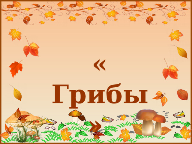  « Грибы » 
