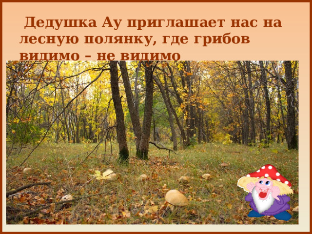  Дедушка Ау приглашает нас на лесную полянку, где грибов видимо – не видимо 