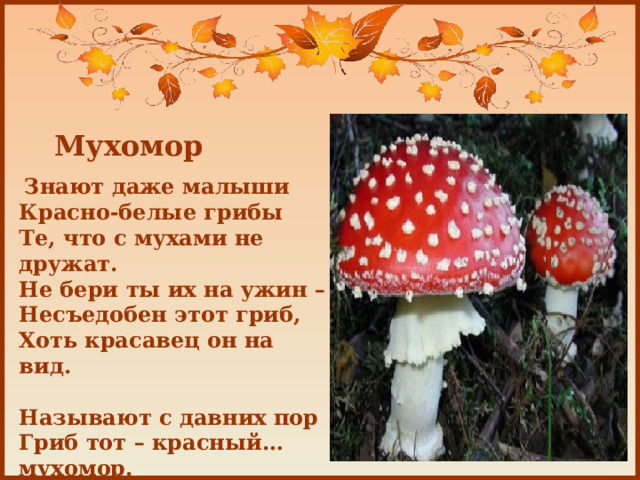 Мухомор  Знают даже малыши  Красно-белые грибы  Те, что с мухами не дружат.  Не бери ты их на ужин –  Несъедобен этот гриб,  Хоть красавец он на вид.   Называют с давних пор  Гриб тот – красный… мухомор.   