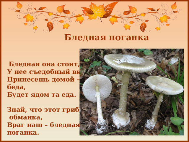 Бледная поганка  Бледная она стоит,  У нее съедобный вид.  Принесешь домой – беда,  Будет ядом та еда.   Знай, что этот гриб –  обманка,  Враг наш – бледная… поганка.   