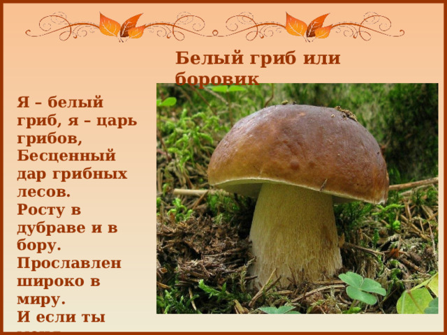 Белый гриб или боровик Я – белый гриб, я – царь грибов,  Бесценный дар грибных лесов.  Росту в дубраве и в бору.  Прославлен широко в миру.   И если ты меня найдёшь,   Узнаешь сам, как я хорош!    