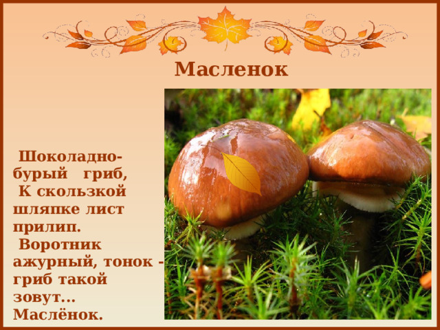 Масленок  Шоколадно-бурый гриб,  К скользкой шляпке лист прилип.  Воротник ажурный, тонок - гриб такой зовут... Маслёнок. 