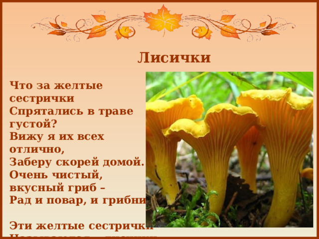 Лисички Что за желтые сестрички  Спрятались в траве густой?  Вижу я их всех отлично,  Заберу скорей домой.  Очень чистый, вкусный гриб –  Рад и повар, и грибник.   Эти желтые сестрички  Называются… лисички. 